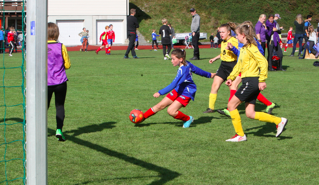 Skjermbilde 2018-09-08 kl. 18.27.53