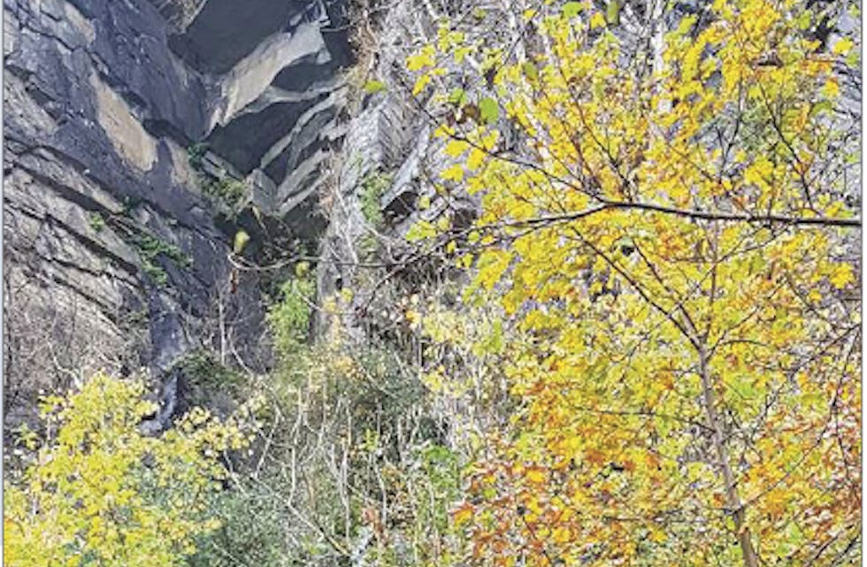 Bjørg Rørtveit og andre bebuarar på Stuvikleite har lenge frykta ras. No har kommunen sikra plassen og dei kan sove godt om natta.