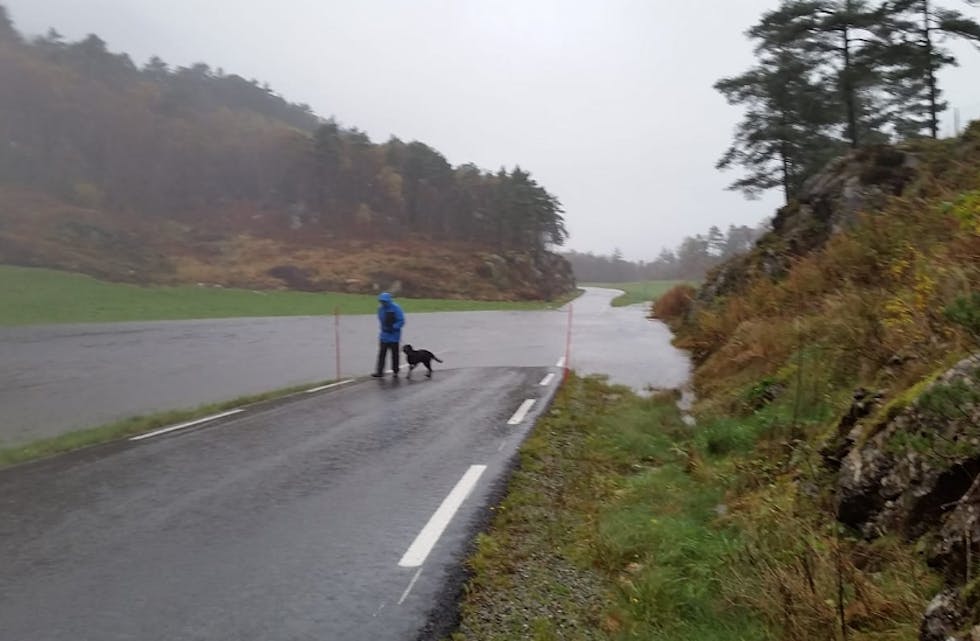 Ny oversvømmelse på Kallekodt. Foto: Aud Ruthi Andersen