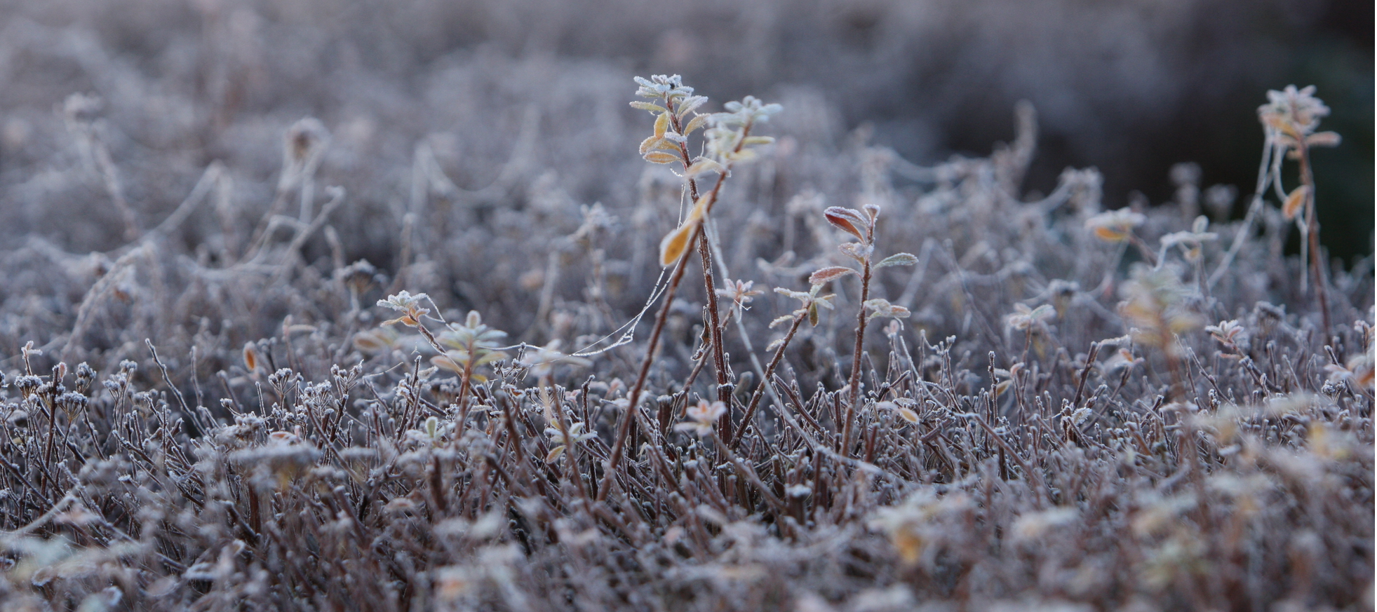 Skjermbilde 2018-11-24 kl. 13.23.15