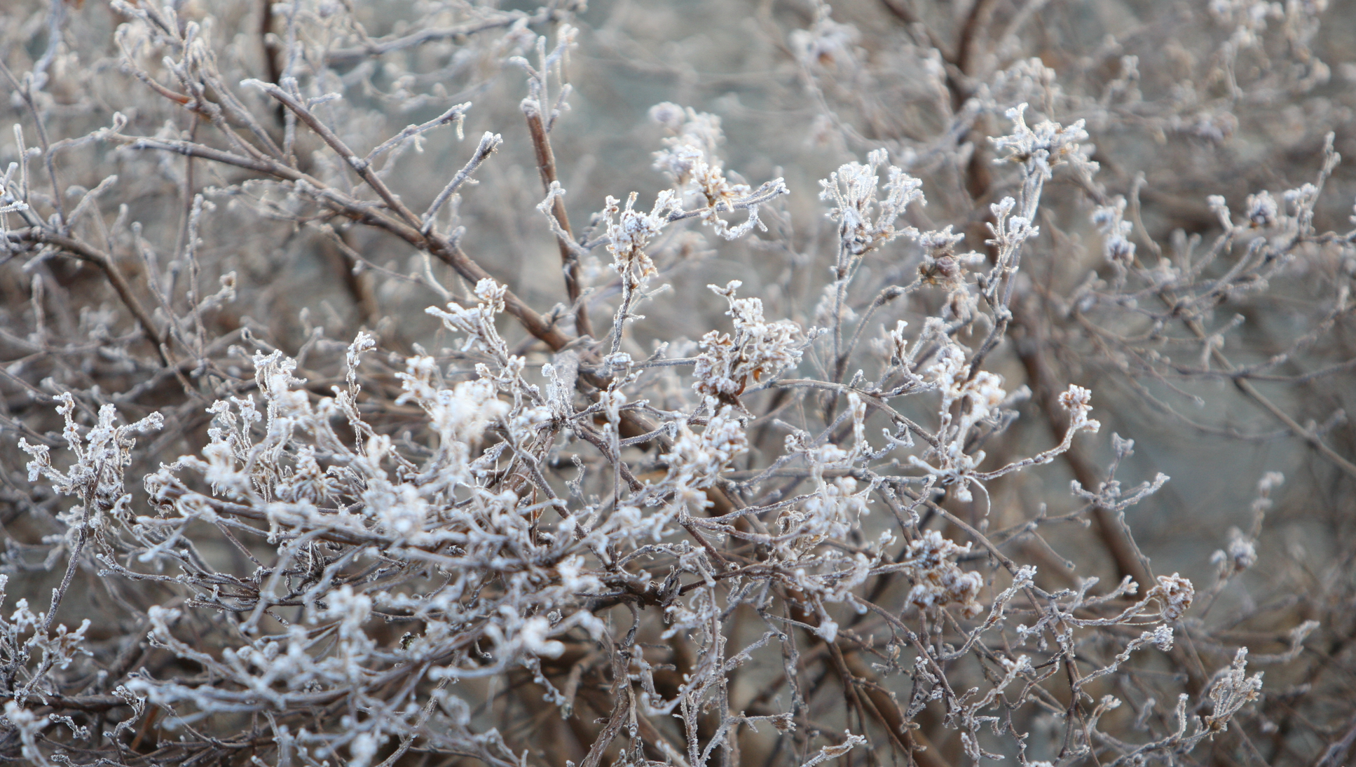 Skjermbilde 2018-11-24 kl. 13.26.52