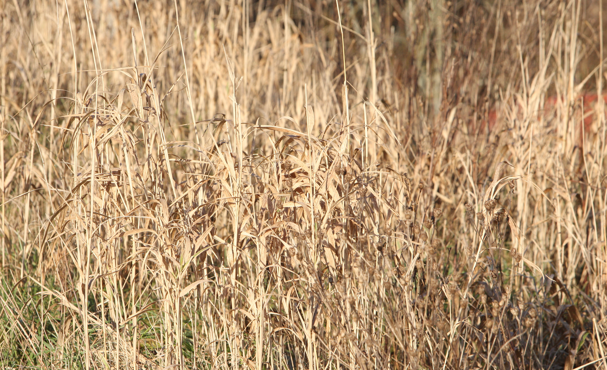 Skjermbilde 2018-11-24 kl. 13.34.43