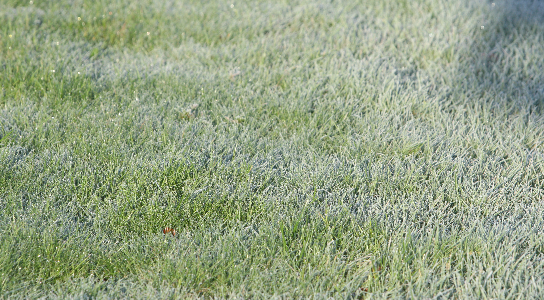 Skjermbilde 2018-11-24 kl. 13.35.08