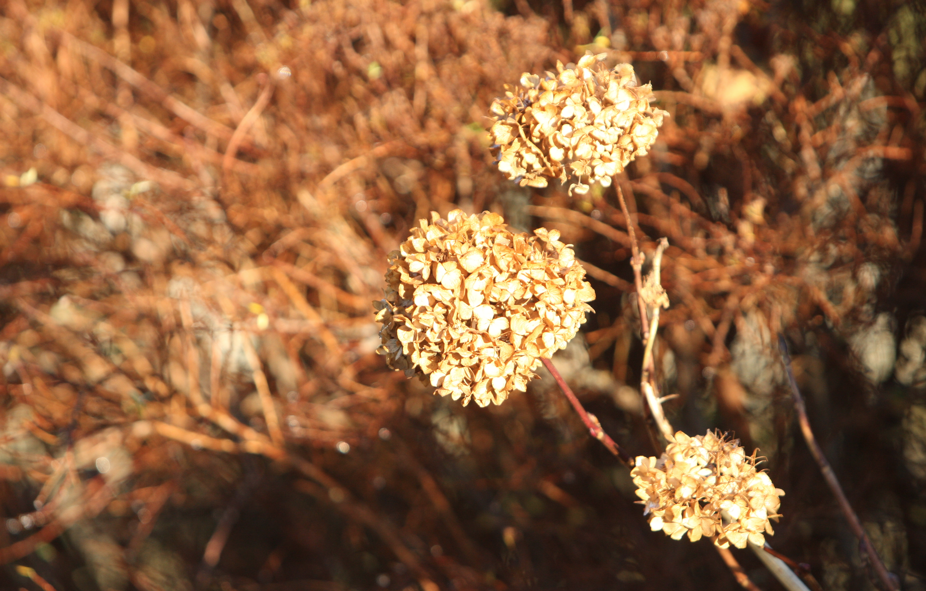 Skjermbilde 2018-11-24 kl. 13.35.50