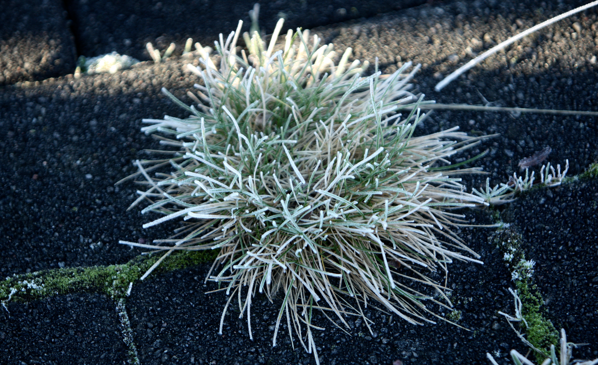 Skjermbilde 2018-11-24 kl. 13.36.01