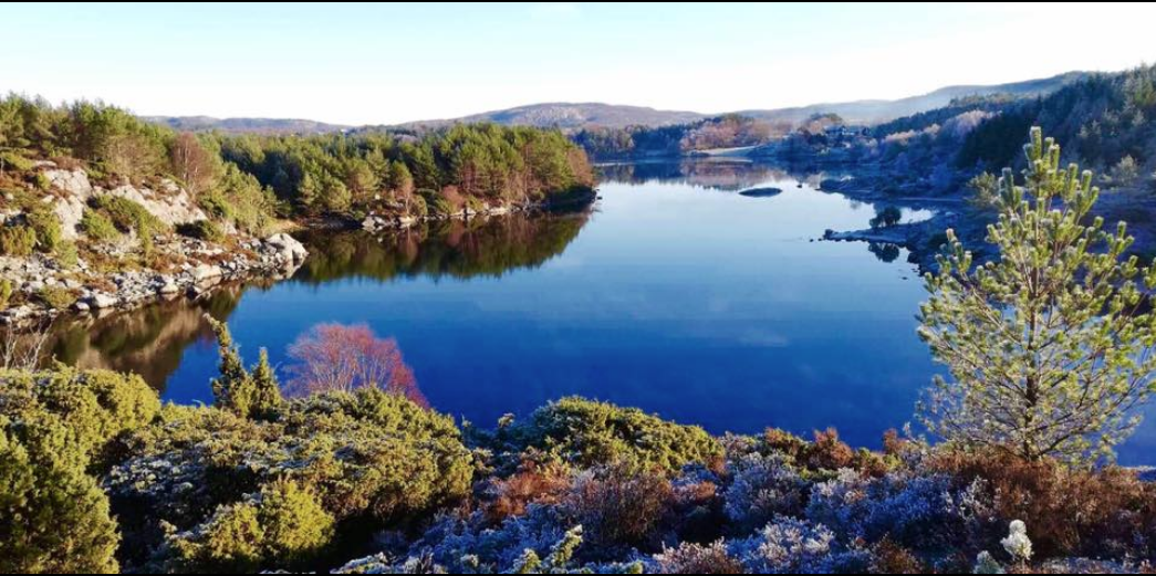 Skjermbilde 2018-11-25 kl. 15.12.55