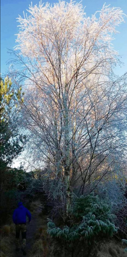 Skjermbilde 2018-11-25 kl. 15.13.21