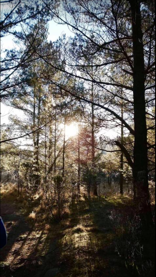 Skjermbilde 2018-11-25 kl. 15.13.30