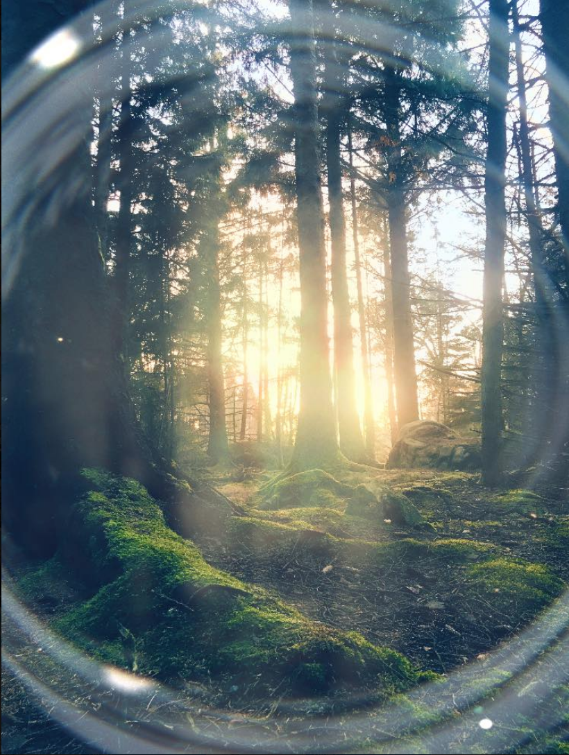 Skjermbilde 2018-11-25 kl. 15.16.37