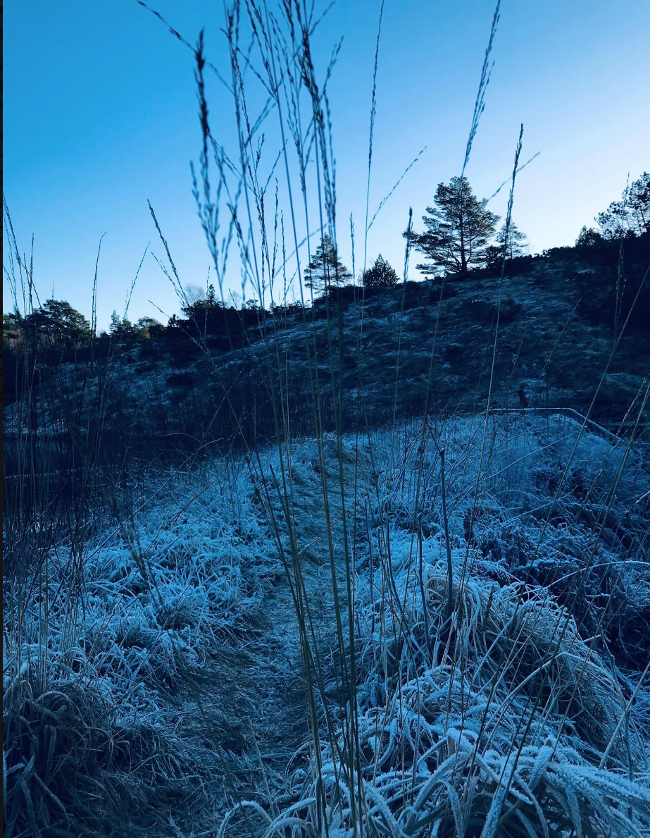 Skjermbilde 2018-11-25 kl. 15.18.40