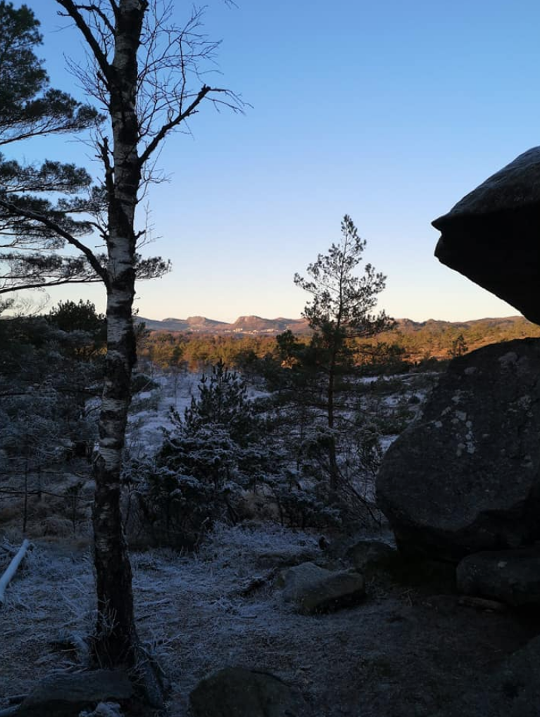 Skjermbilde 2018-11-25 kl. 17.42.39