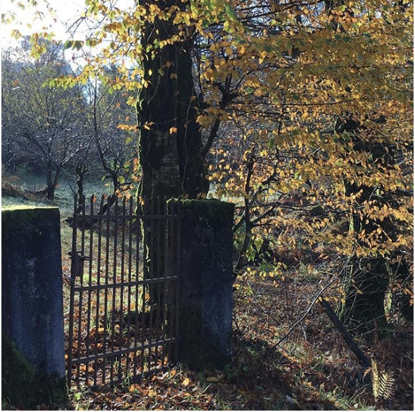 Skjermbilde 2018-11-29 kl. 10.06.35