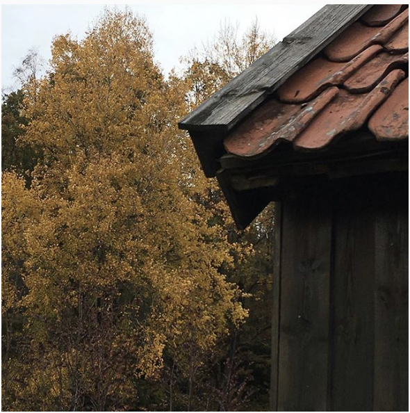 Skjermbilde 2018-11-29 kl. 10.06.55