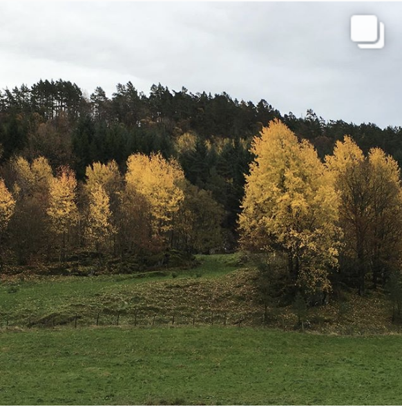 Skjermbilde 2018-11-29 kl. 10.07.23