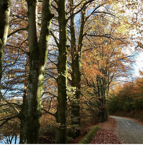 Skjermbilde 2018-11-29 kl. 10.07.45