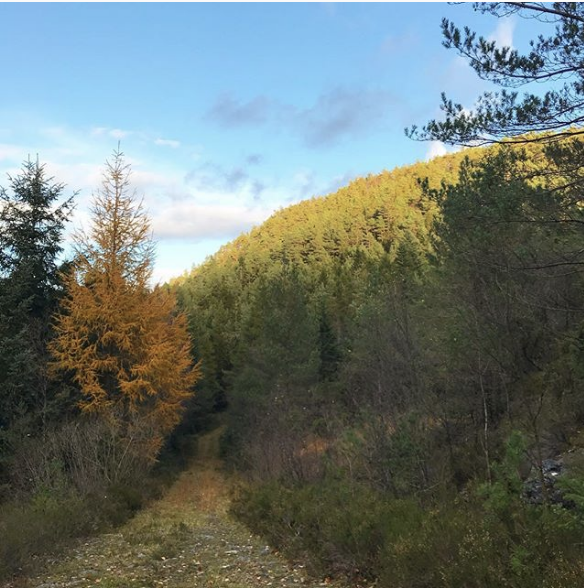 Skjermbilde 2018-11-29 kl. 10.07.57