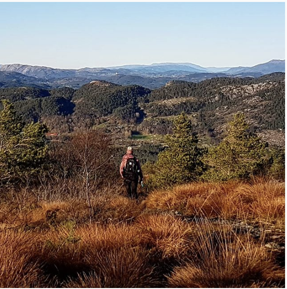 Skjermbilde 2018-11-29 kl. 10.08.15