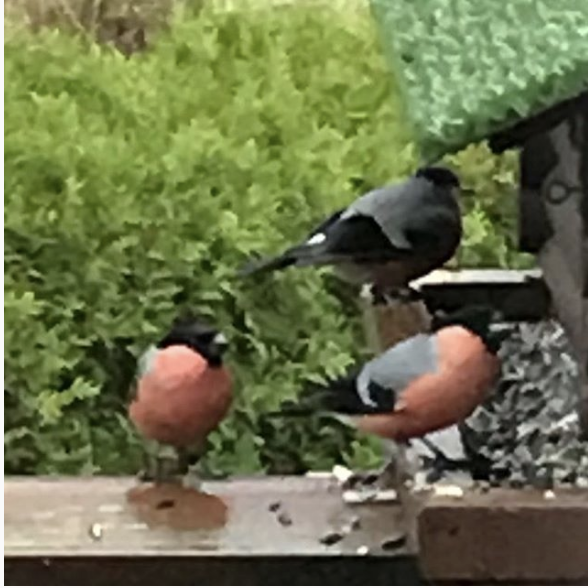 Skjermbilde 2018-11-29 kl. 10.08.25