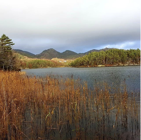 Skjermbilde 2018-11-29 kl. 10.08.46