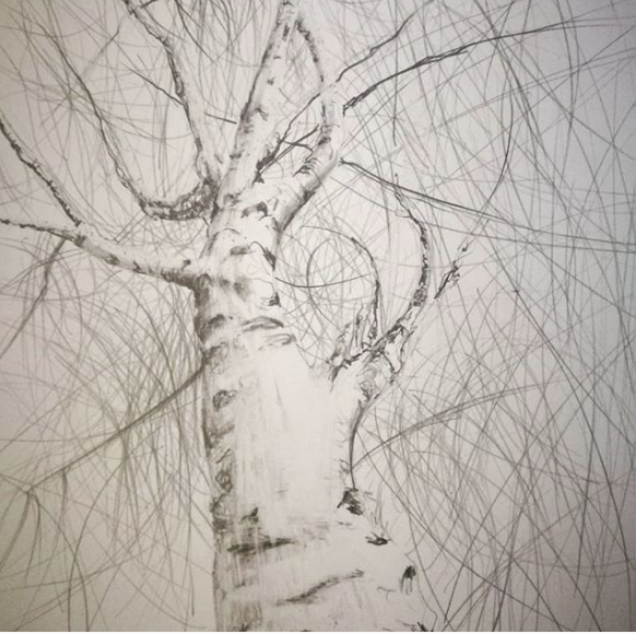 Skjermbilde 2018-11-29 kl. 10.09.20