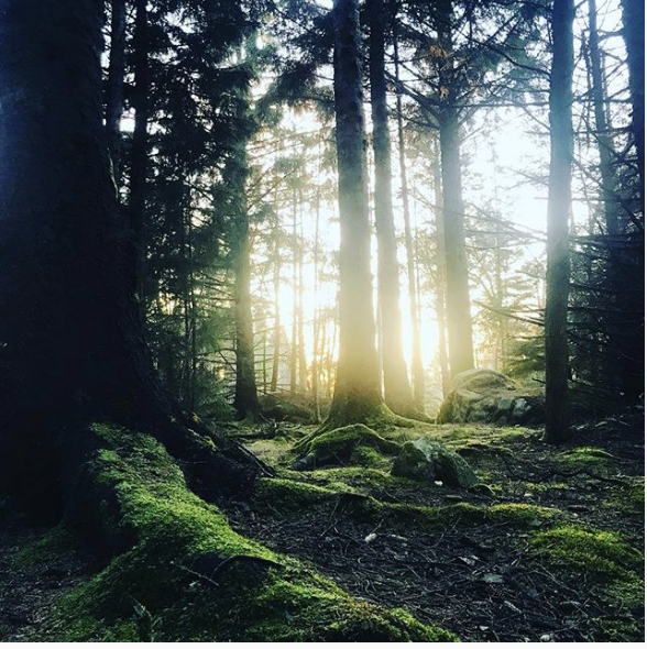 Skjermbilde 2018-11-29 kl. 10.15.09