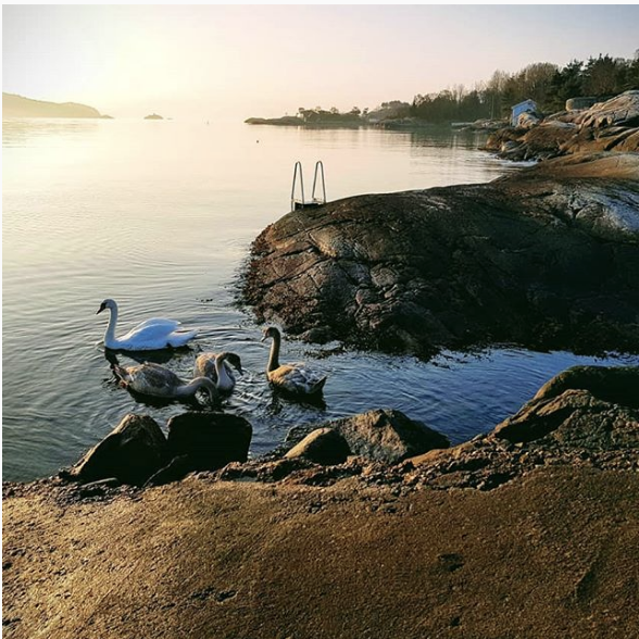 Skjermbilde 2018-11-29 kl. 10.15.16