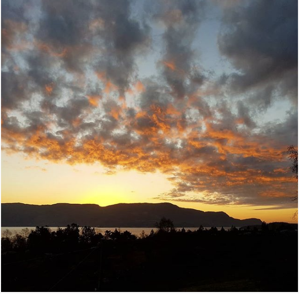 Skjermbilde 2018-11-29 kl. 10.15.35