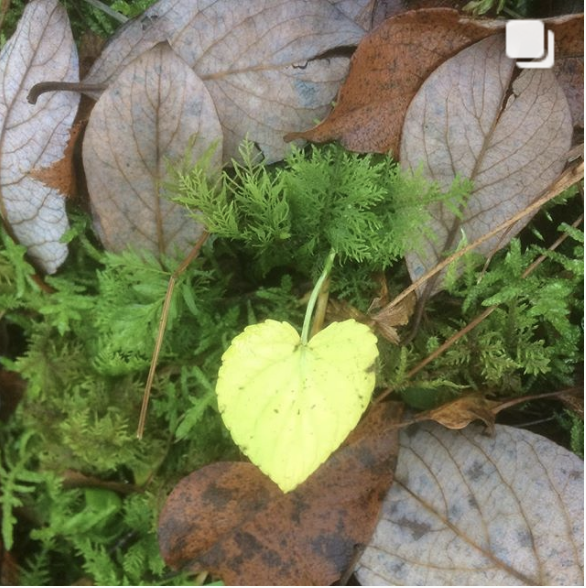 Skjermbilde 2018-11-29 kl. 10.15.41