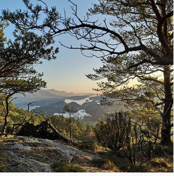 Skjermbilde 2018-11-29 kl. 10.16.09