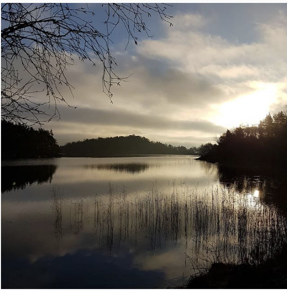 Skjermbilde 2018-11-29 kl. 10.16.19