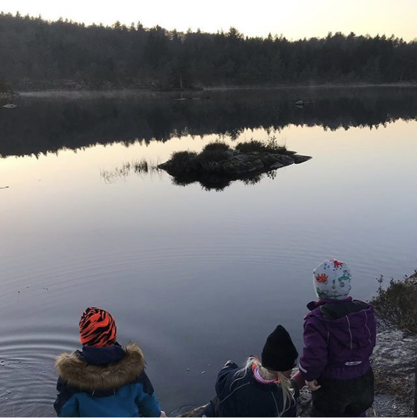 Skjermbilde 2018-11-29 kl. 10.16.26