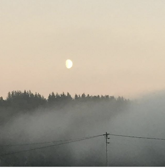 Skjermbilde 2018-11-29 kl. 10.16.47