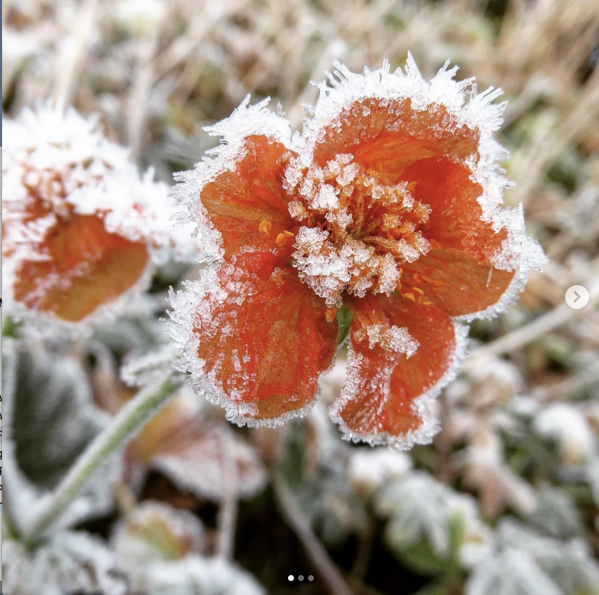 Skjermbilde 2018-11-29 kl. 10.22.05