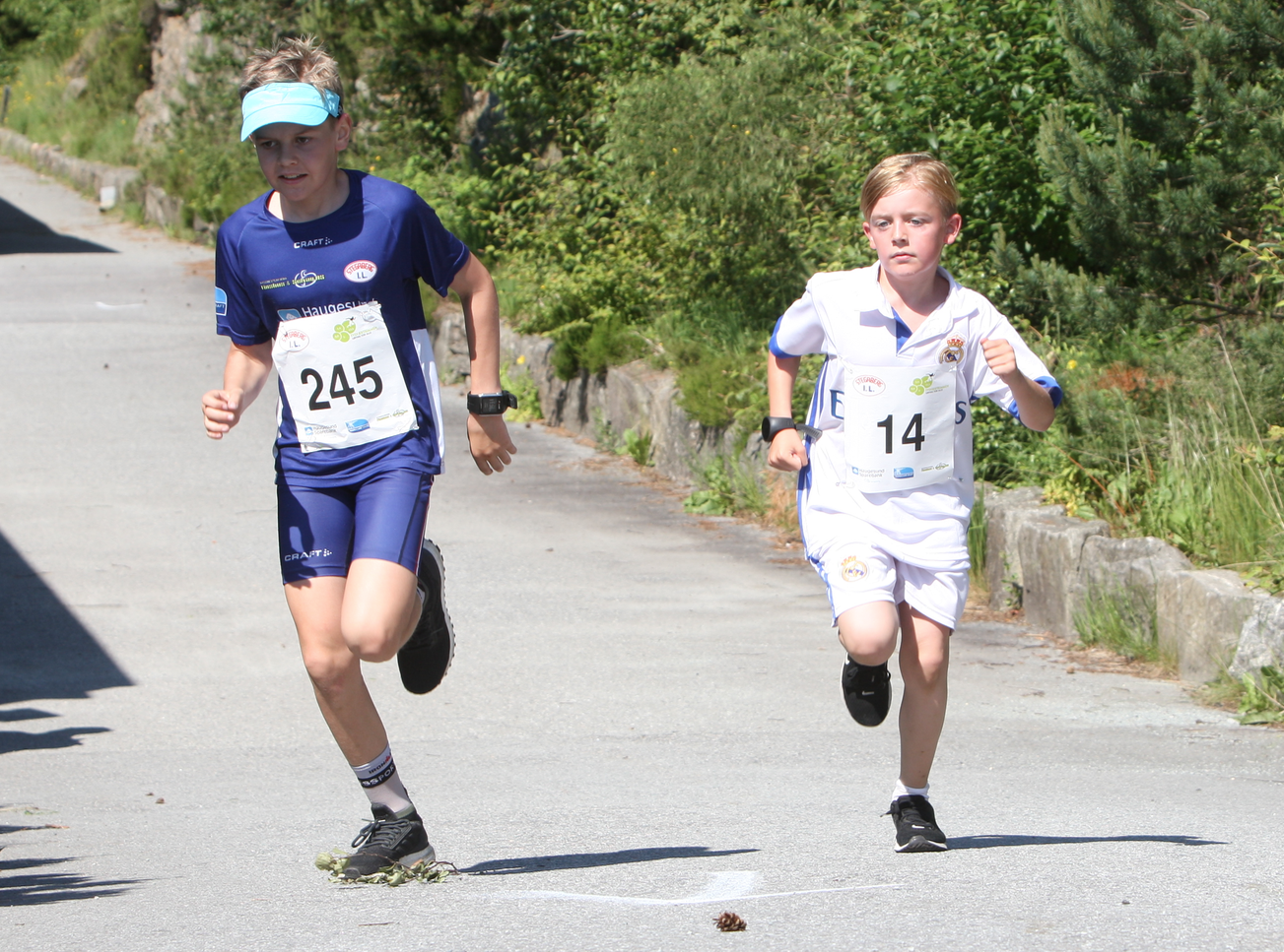 Skjermbilde 2019-06-15 kl. 13.40.39