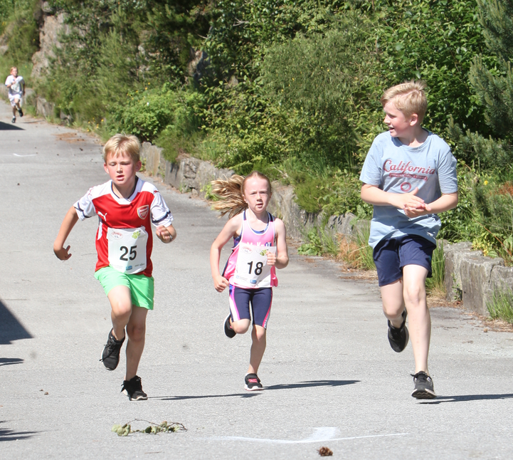 Skjermbilde 2019-06-15 kl. 13.40.45