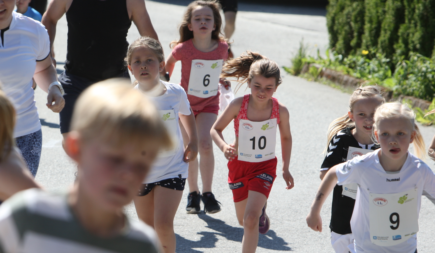 Skjermbilde 2019-06-15 kl. 13.41.23