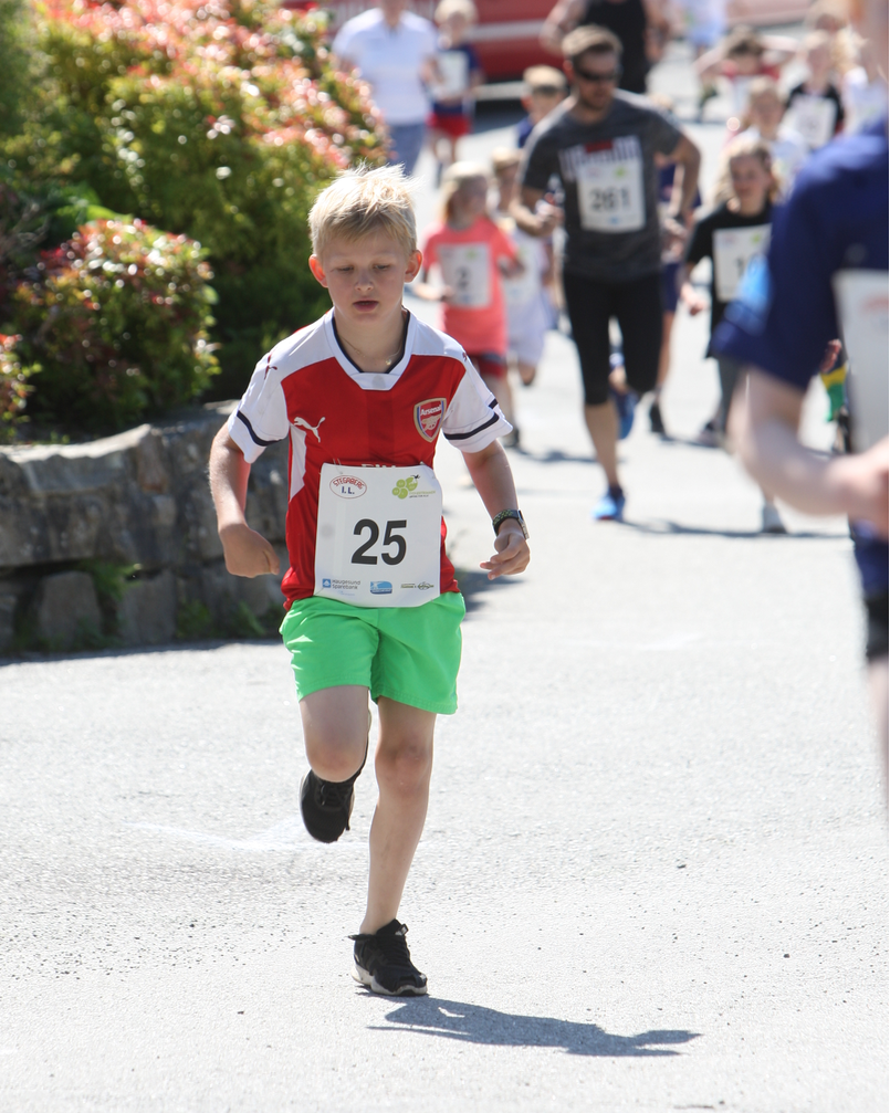 Skjermbilde 2019-06-15 kl. 13.41.45