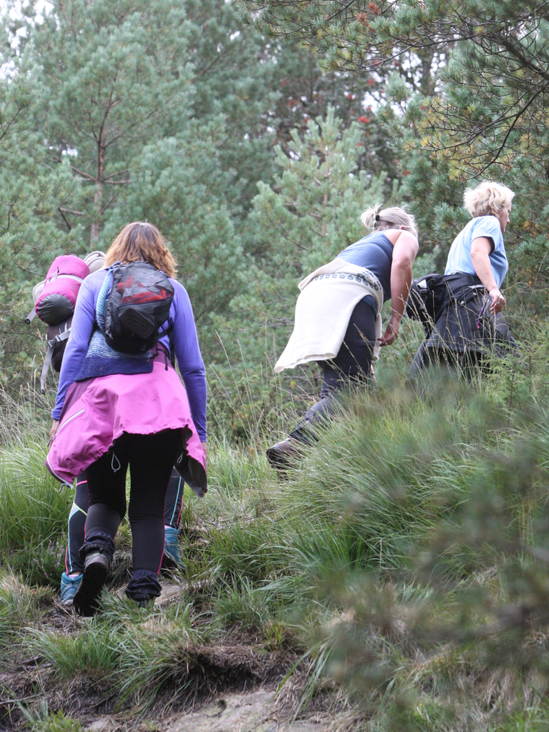 Skjermbilde 2019-08-31 kl. 22.03.51