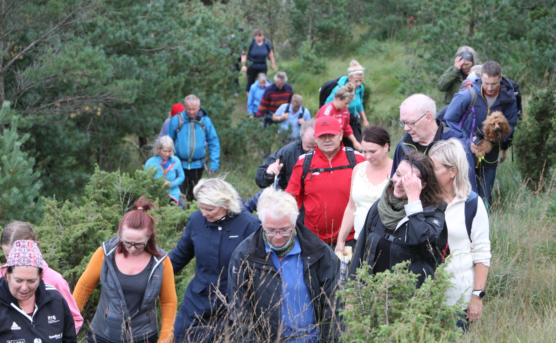 Skjermbilde 2019-08-31 kl. 22.04.30