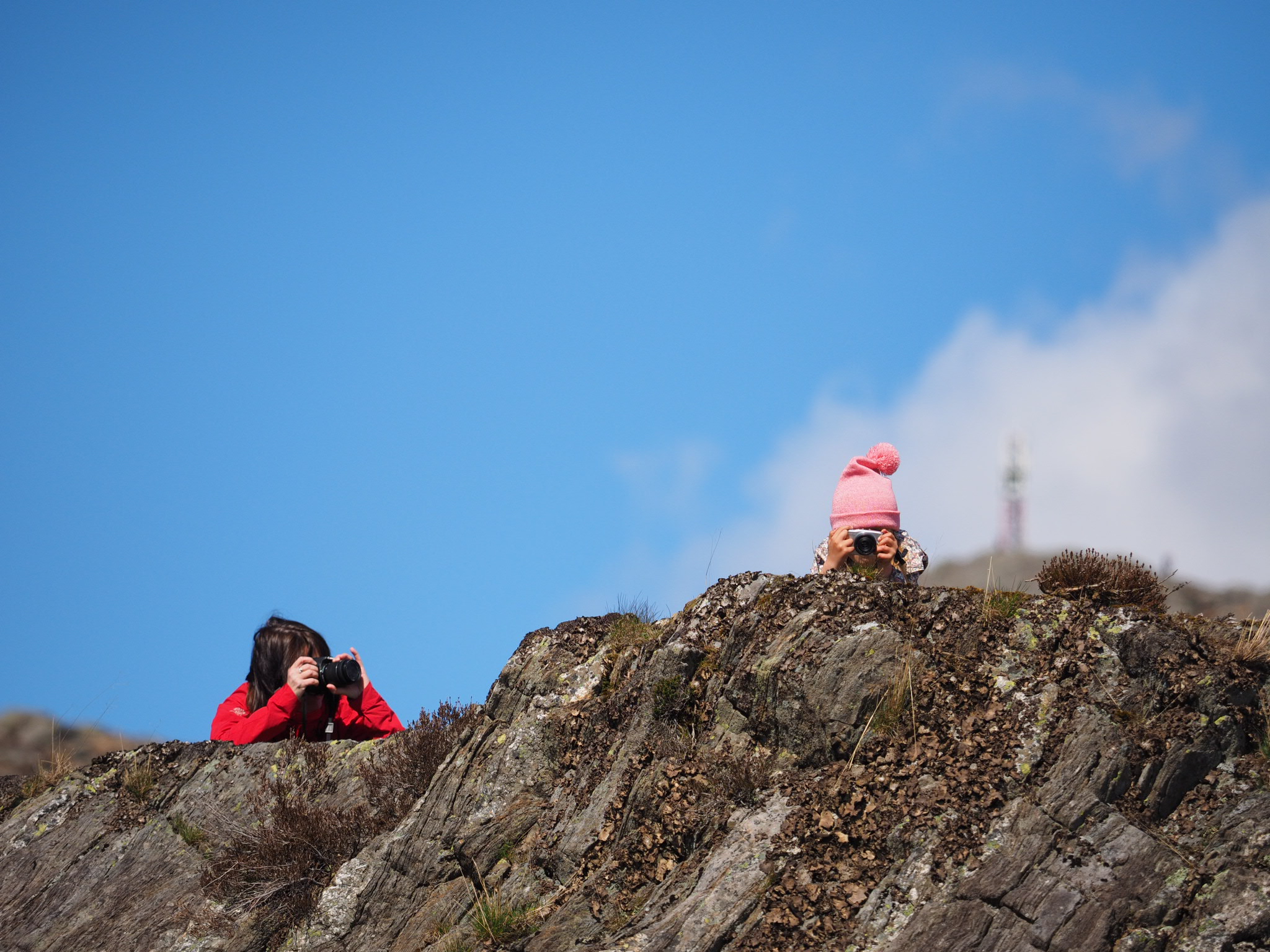 OLYMPUS DIGITAL CAMERA