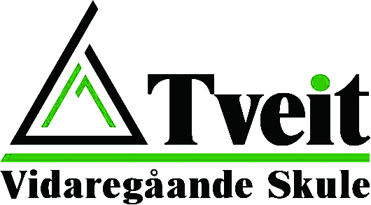 tveit-logo-farge-dypetset
