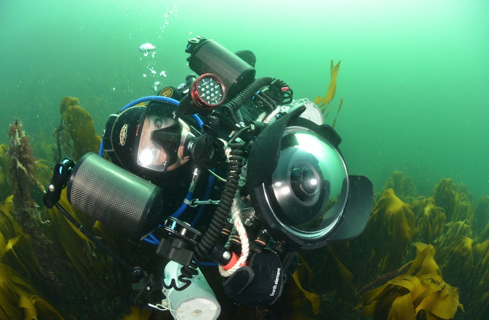 Slettaa dykkerklubb hadde stor suksess med norgesmesterskapet i undervannsfotografering i høst. Foto: Vidar Skålevik