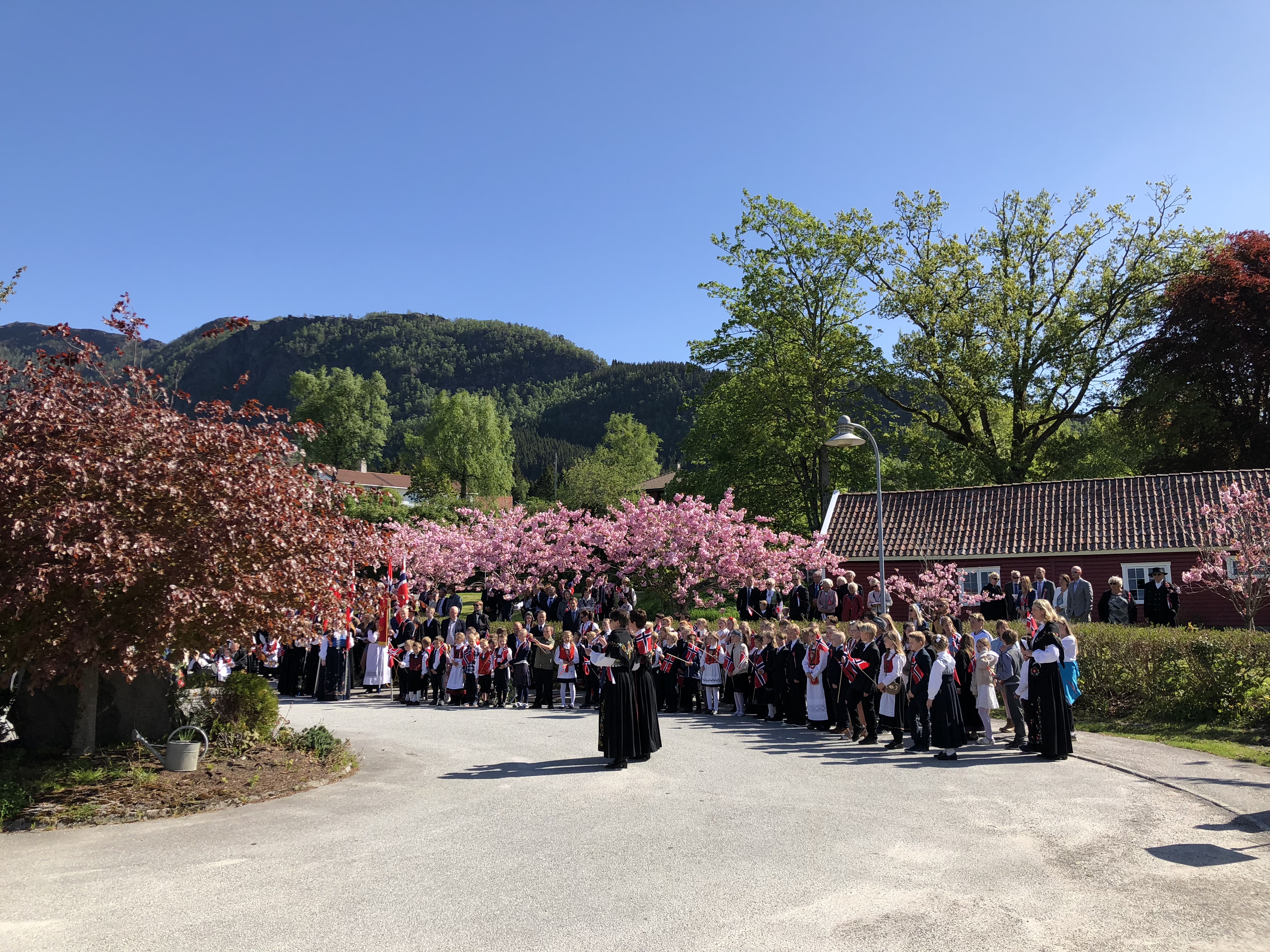 Gratulerer - Fra Marit Sofie Teistedal Vikre