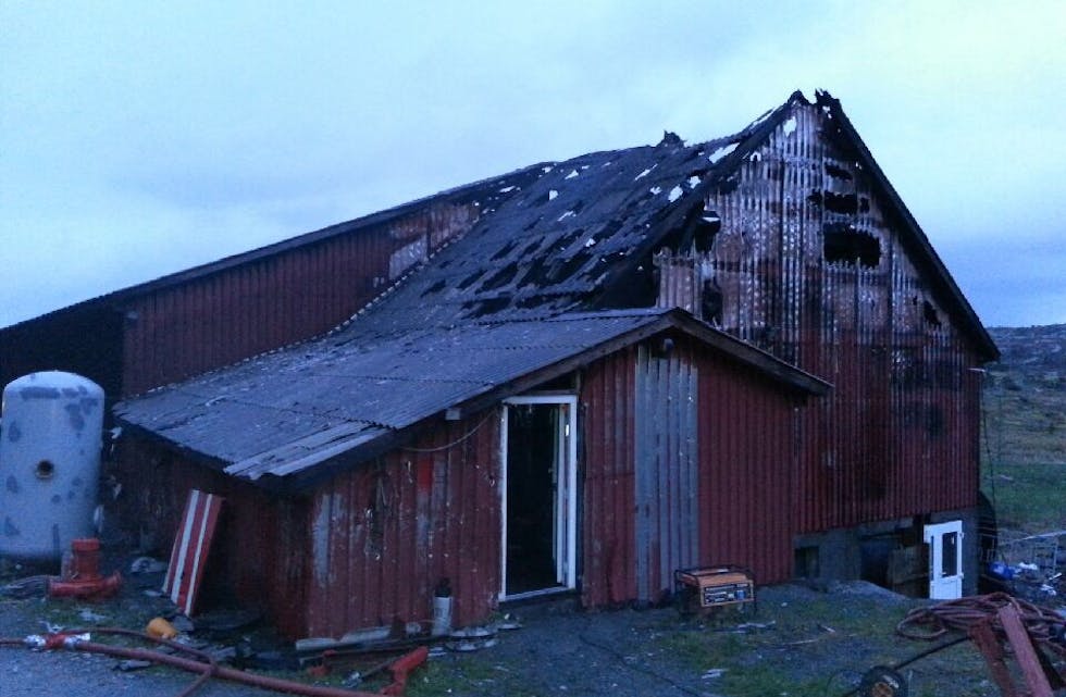 Fødsel - Fra Hilde Sørli