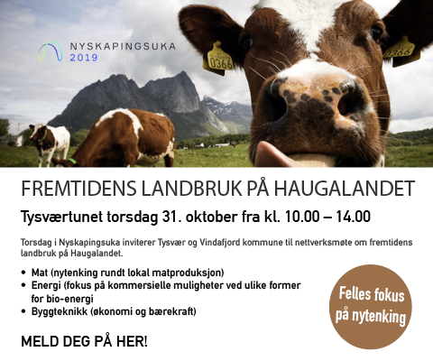 nyskapingsuka nettbanner uke 41