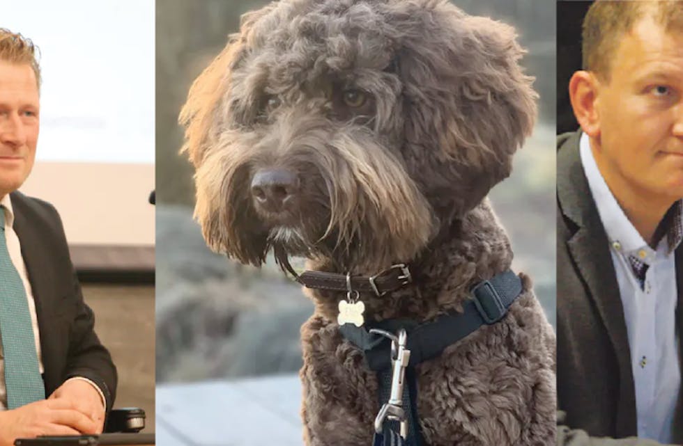 Valget, en savnet hund og Bjellandsaken fikk mest treff på våre nettsider i 2019.
