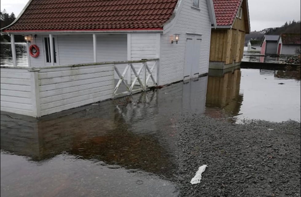 Disse naustene «trenger» ikke noen høyere flo. Foto: Einar Kristensen