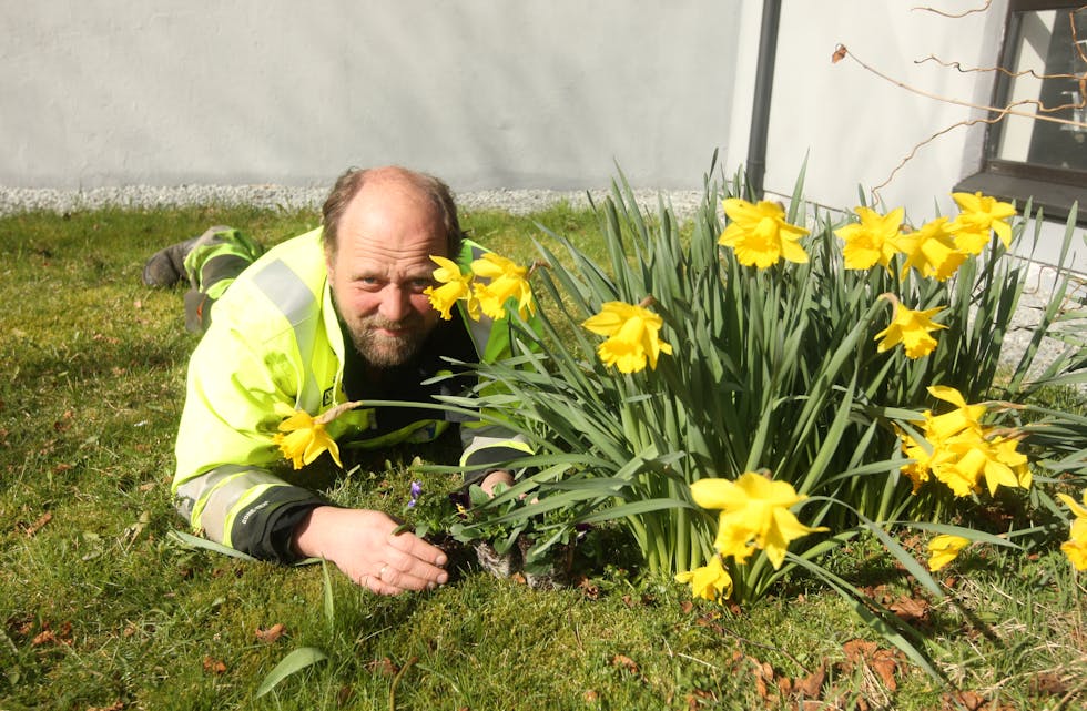 Det er vår i lufta og då dukkar desse to vårteikna opp. Dag Leonard Fjeldstad og påskeliljene.
Foto: Alf-Einar Kvalavåg