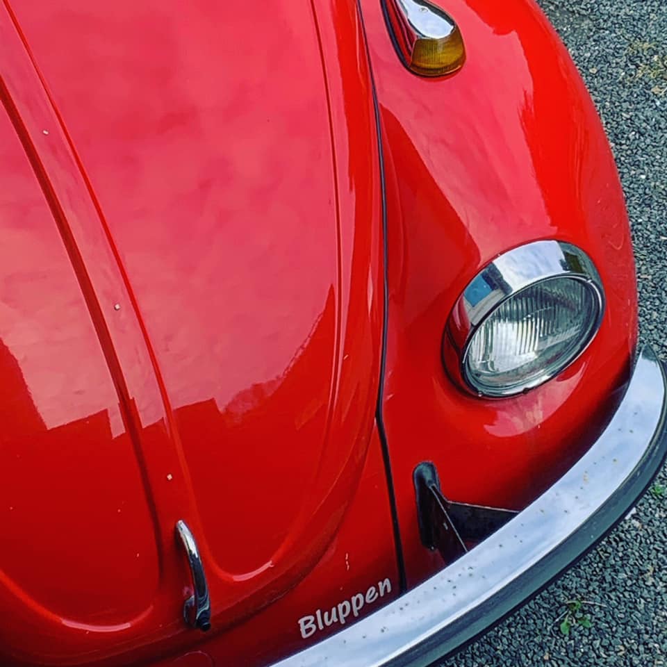 96298400_10157680261711997_5733510714270679040_n