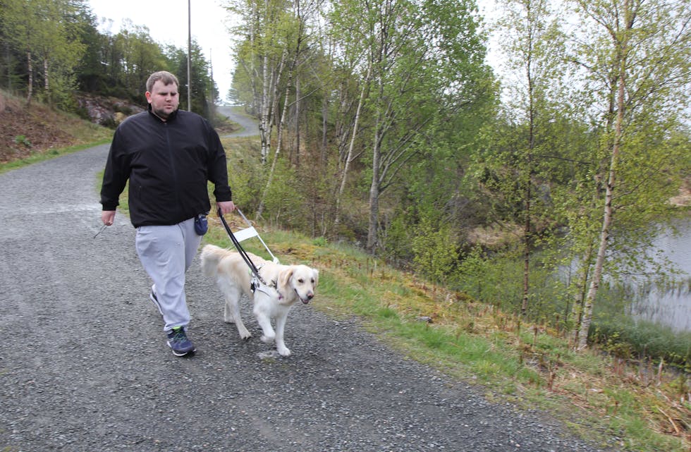 Marius Søvik og hunden Ludo går den rundt fire kilometer lange turen frå leilegheita hans, rundt Bongsatjørn og tilbake nesten kvar dag. Der er det god sti, og fint å trene for hund og førar. 